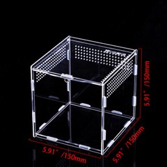 Clear Reptile Feeding Insect Box Acrylic Container Lizards Spider Breeding Case