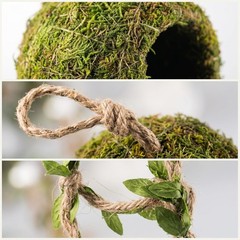 Reptile Hide Climbing Ladder Crested Gecko Tank Accessories Decor (71 chars)