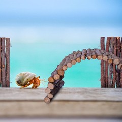 Hermit Crab Hideout & Climbing Toys Large Size Reptile Climbing Decor
