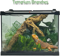Reptile Branch Decor 2 Pcs Snake Climbing Wood Branches Lizard Habitat Decoratio