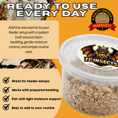 250 Live Wax Worms Feeder Insects for Reptiles Amphibians Birds & More