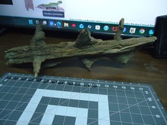 Natural Lightning Struck Tree Stump for Reptile Enclosure/Tank/Aquarium/Atrium