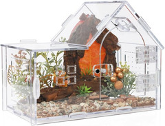 Jumping Spider Enclosure, Acrylic Cabin Terrarium with Sloped Roof & Magnetic Fr