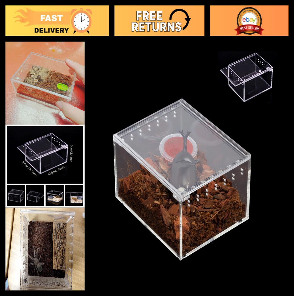 Insect Breeding Box & Reptile Feeding Enclosure – Waterproof for Tarantula, Scor