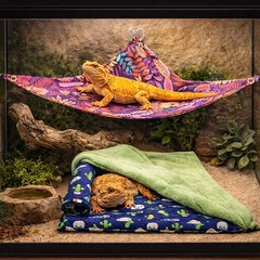 Bearded Dragon Tank Accessories, Reptile Bedding Hammock Soft Fabric Warm Sle…