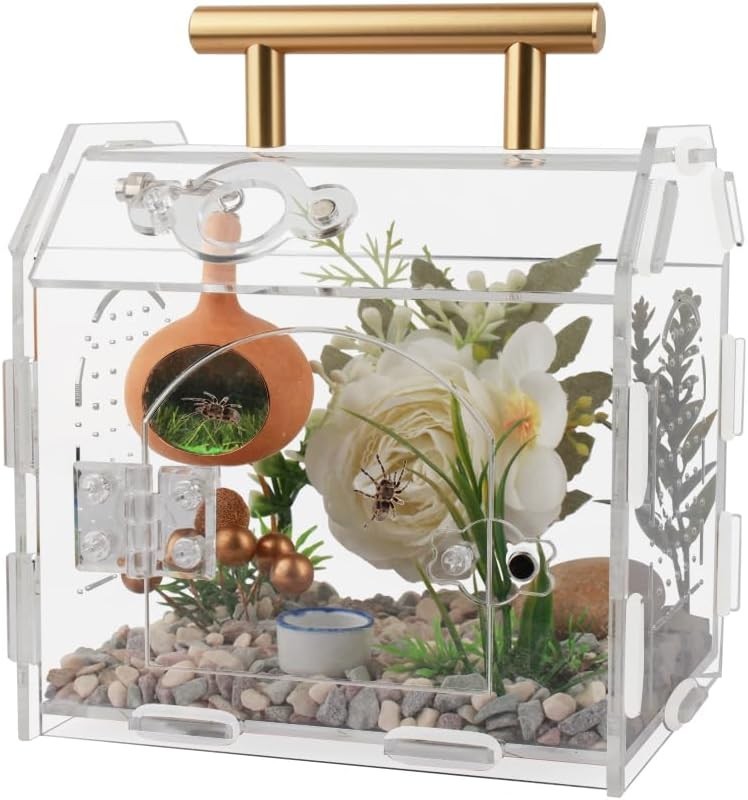 Jumping Spider Enclosure,Premium Acrylic Spider Enclosure – Ideal for Tarantu…