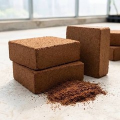 Lugarti Premium Coco Peat Block Substrate – Bulk Case of 6
