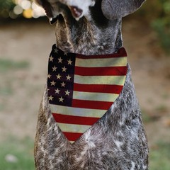 Vintage US Flag Repeat Slip On Collar Bandana Only