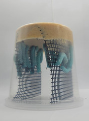 Live Hornworm Cup (25-35 Count) | UPS Shipping | for Bearded Dragons and Reptile