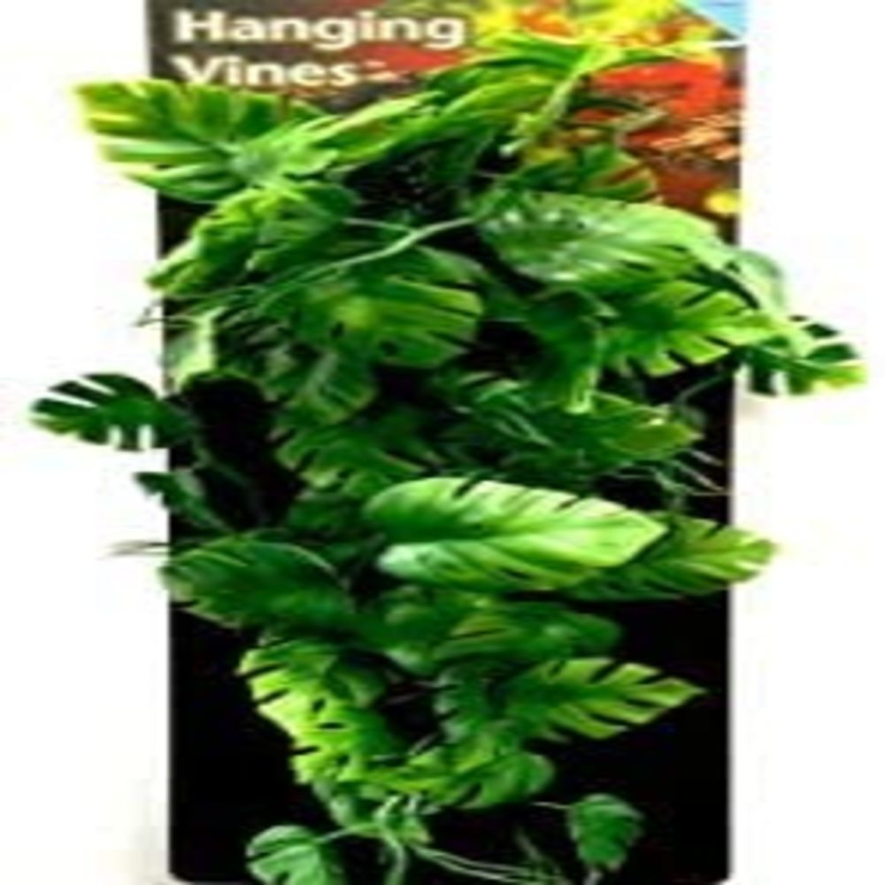 Reptile Amphibians Plants Hanging Terrarium Plant Vines with Suction Cup, 12″