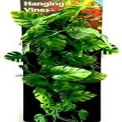 Reptile Amphibians Plants Hanging Terrarium Plant Vines with Suction Cup, 12″