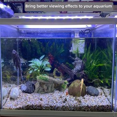 Betta Fish Hideout Cave Aquarium Rock Decor for Small Tank – 5.5 x 2.9 x 2