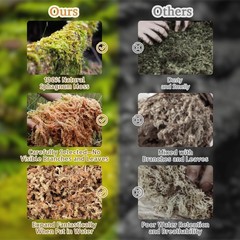 Riare 2.2LB Natural Sphagnum Moss for Reptiles- 50QT Reptile Substrate Moss f…