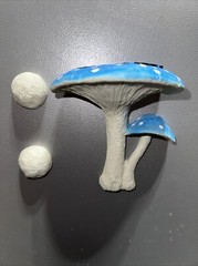 BLUE reptile magnetic mushroom feeder Ledge With 2 Beer Savers