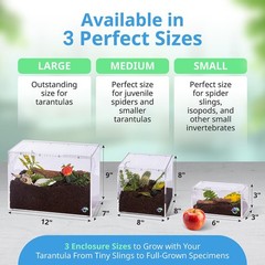 Acrylic Tarantula Enclosure Terrarium for Scorpion Jumping Spider 1 PCS