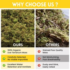 2.6LB Sphagnum Moss for Reptiles, 100QT Natural Live Moss Terrarium Bedding