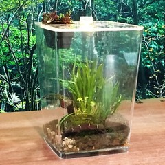 Acrylic Clear Reptile Enclosure Cage Lizard Frog Pet Snake Terrarium Lives Tank