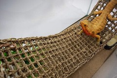 Interactive Extra Large Lizard Lounger – 100% Natural Seagrass for Reptiles