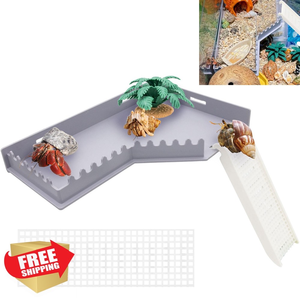 Niuohoy Hermit Crab Platform Gray