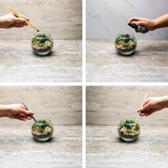 DIY Small Terrarium Kit – Perfect Gift for Plant Lovers