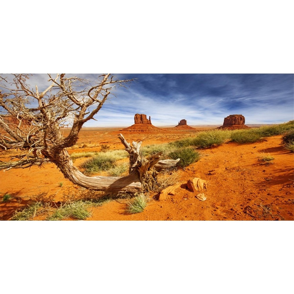 AWERT 36×18 inches Reptile Habitat Background Orange Desert Terrarium Backgro…
