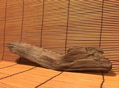 Beautiful 10″ Driftwood Aquarium Terrarium Aquascape Floral Decor Crafts Reptile