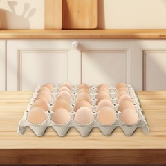 20 PCS 30 Count Gray White Egg Cartons, 12x12x2Inch Paper Pulp Egg Crates, Ca…