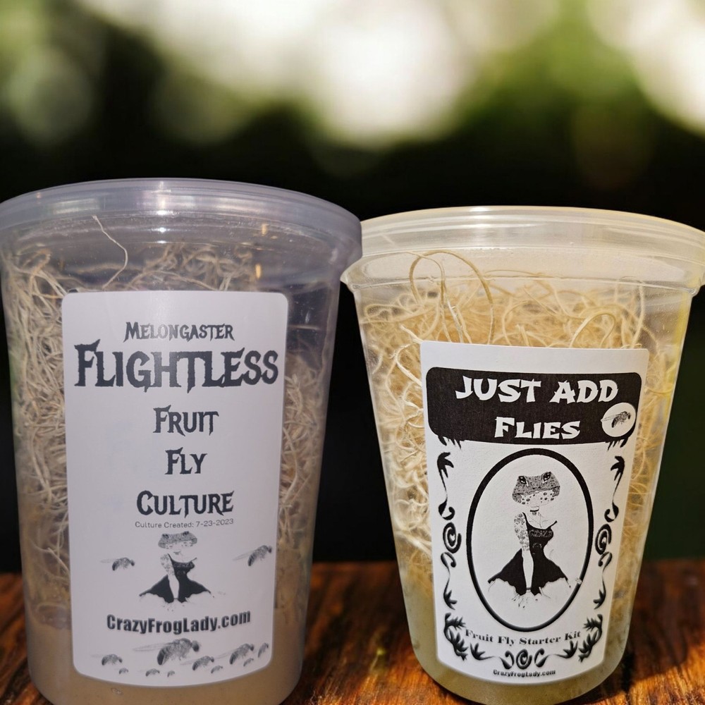 Flightless Fruit Fly Culture + 1 Just Add Flies for Dart Frog Food Reptile Food