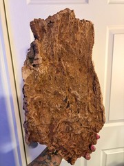 Cork Bark – Large Flat (Exclusive)
