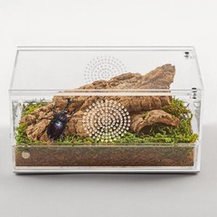 ReptiZoo Magnetic Acrylic Mini Terrarium 8x4x4 Insect Box NEW