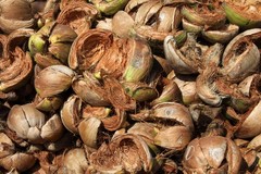 Coconut Husk Reptile Substrate 10 Lb Block Terrarium Bedding Habitat Dirt