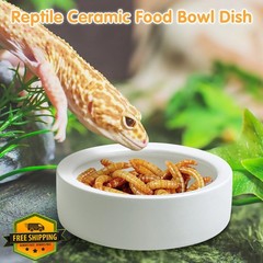 Tfwadmx 6 Reptile Food Bowls Mini Ceramic 2.7″