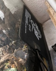 18″ x 18″ x 36″ ZooMed Vivarium w/ Bioactive Substrate and Accessories