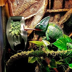 Reptile Chameleon Cantina Drinking Fountain Water dripper Comes with Feeding
