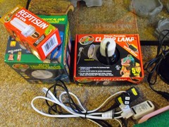 COMPLETE REPTILE TERRARIUM WITH SUPPLIES