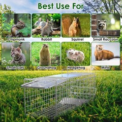 Folding Humane Live Animal Trap Cages Easy To Catch Foldable Cat Trap 2 Pcs