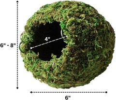 Galápagos 05348 Mossy Cave Hide 6″ Green Sphagnum