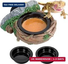 REPTI ZOO Magnetic Reptile Feeding Ledge, Gecko Feeder Ledge with 2PCS Cups, Hol