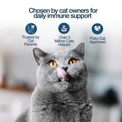 Felisyl L-Lysine Gel for Cats & Kittens (5oz) – Immune System, 1 Pack, Paste