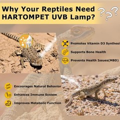UVB 10.0 Reptile Light 26W, Compact Coil Desert Bulb for Bearded Dragons, Liz…