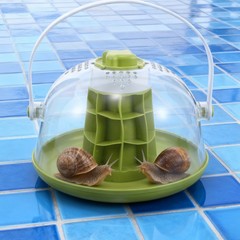 Snail Observation Warehouse Container Habitat Kit Terrarium