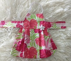 Bearded dragon Dress