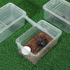 8 Pcs Reptile Breeding Box Plastic Spider Terrarium Tarantula Feeding Box for Be