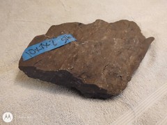 Natural Shale Large Aquarium, Terrarium, Basking Reptiles, 10 x 7″ x 7″ 5 lbs