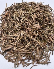 10 Gallons Organic LEAF LITTER Willow Oak Leaves Reptile Terrarium Frog Isopods