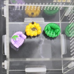 Jumping Spider Sofa Bed Climbing Accessories Habitat Decor Furniture 6 PCS