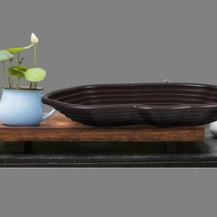 Reptile Feeding Dish Bathing Pool with Ramp for Turtle Large Water Bowl