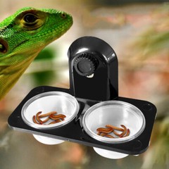 reptile supplies gecko feeding ledge Magnetic Gecko Ledge Turtle Food Bowl