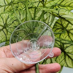 KERUIDENG Reptile Plants for Terrarium Decor, Amphibian Green Arrowhead