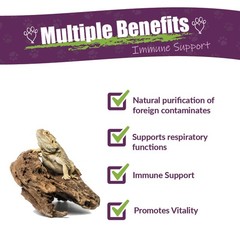 Amber Naturalz Organic Reptaid Reptile Immune System Health Support
